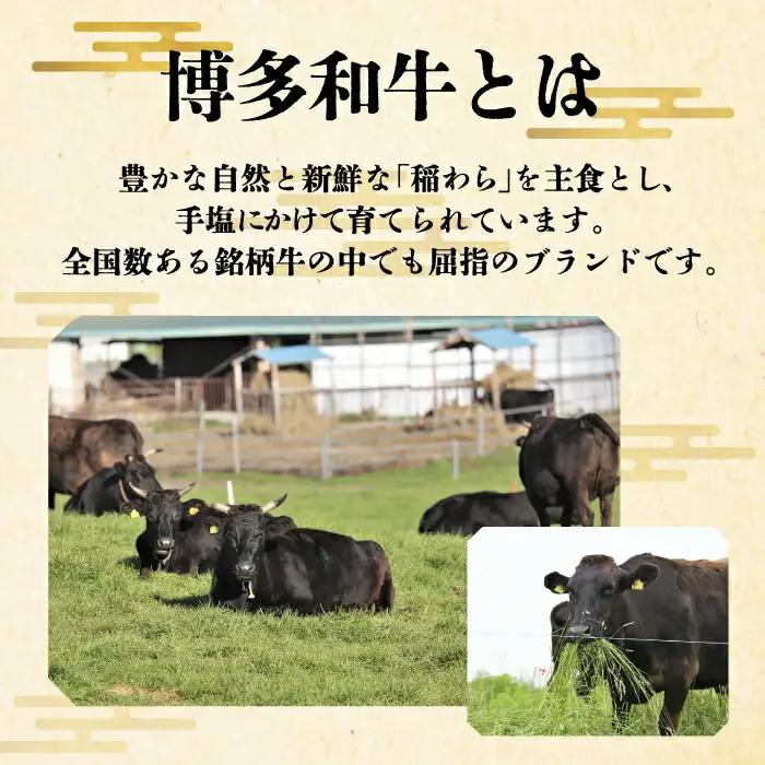【全3回定期便】博多和牛 サーロインステーキ 200g×2枚 VBK003 ステーキ 2枚