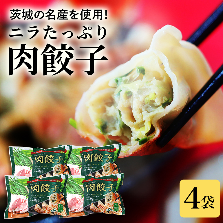 ニラたっぷり肉餃子 4袋 17-AB