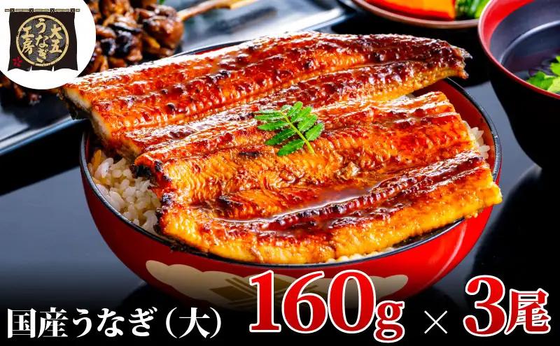 うなぎ 国産 蒲焼 160g×3尾 480g 大五 大五通商 うなぎ