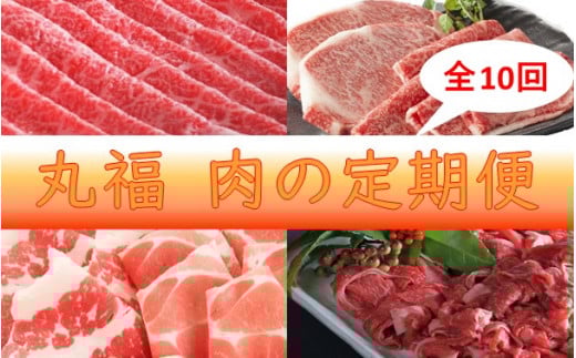 丸福　肉の定期便　10回コース