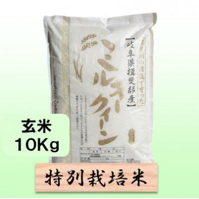 ふるさと納税 池田町 【令和7年産】特別栽培米 10kg【玄米】(ミルキークイーン)