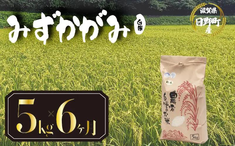 【先行予約】令和8年産 みずかがみ 5kg 定期便 6ヶ月 白米 米 