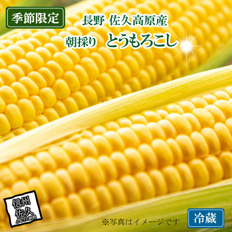 【ふるさと納税】信州産とうもろこし 10本（2025年8月1日～9月10日出荷／北海道・沖縄・離島は配送不可）長野県 旬彩 野菜 コーン【JA佐久浅間　浅間山　八ヶ岳　千曲川　肥沃な大地　良質な農業生産 長野県 佐久市 】