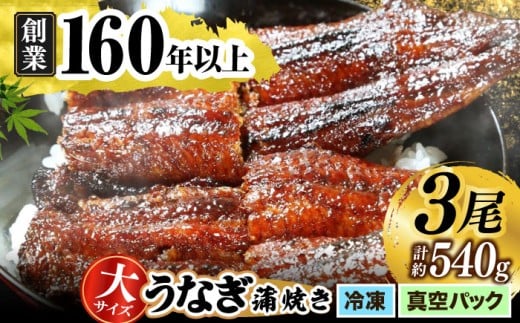 【うなぎや】 炭火焼 うなぎの蒲焼き 3尾 【紀州備長炭使用】 鰻 ウナギ 土用の丑の日 丑の日 蒲焼き 蒲焼 老舗 真空パック 特大 大 特上 送料無料 多治見市 [TFO003]