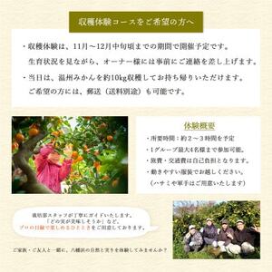 自分の畑が持てる!オーナー制度:Dみかん収穫体験プラン ミヤモトオレンジガーデン【H25-157】【1501527】