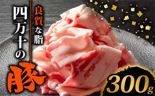 四万十ポークスライス300g | 豚肉 豚バラ肉 小分け 小間切れ スライス 切り落とし 冷凍 真空パック 簡単調理 細切れ 大容量 肉 高知県 須崎市 TM034
