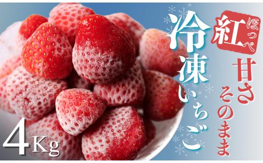 【予約受付_2025年2月以降】冷凍イチゴ4kg（2020年第31回静岡県いちご果実品評会入賞）　【 いちご 果物 フルーツ 苺 イチゴ 冷凍 果物 フローズン くだもの 大容量 静岡県産 期間限定 】