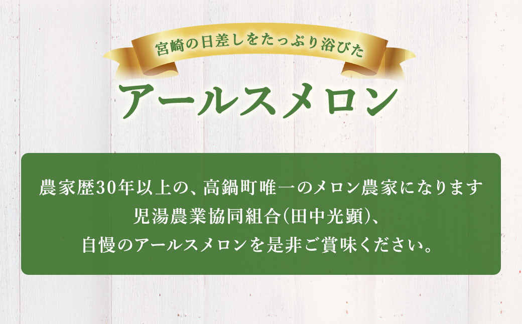 〈アールスメロン2L以上 2玉(田中光顕)〉