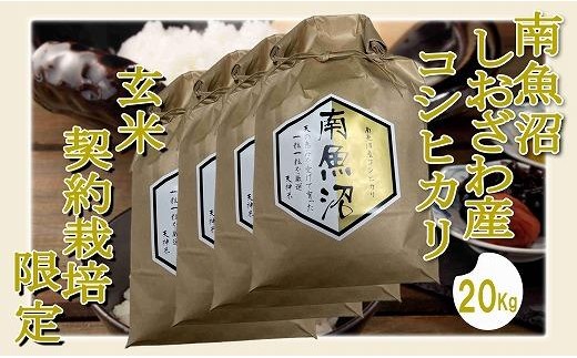 【令和8年産　新米予約】【玄米２０Kg】●玄米● 生産者限定 南魚沼しおざわ産コシヒカリ【銘柄米 ブランド米 玄米 こしひかり コシヒカリ 魚沼産 新潟米 産地直送 お米 米 こめ コメ】【2026年10月上旬から1ヶ月以内に順次発送予定】