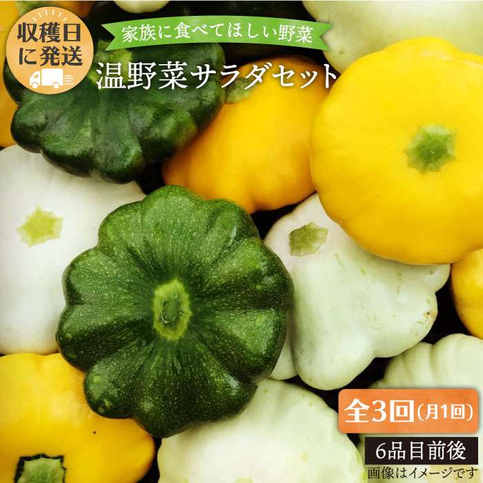 【全3回定期便】 朝採れ 温野菜 サラダ セット （ 6品 前後 ） 糸島市 / オーガニックナガミツファーム [AGE019]