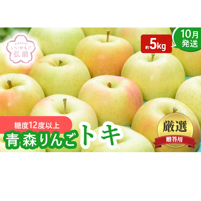 【10月発送】（糖度12度以上） 贈答用 トキ 約 5kg 【弘前市産 青森りんご】