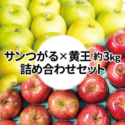 【26年8月下旬より順次発送】糖度12度以上保証! 黄王×サンつがる 約3kg 訳あり クール便【配送不可地域：離島・沖縄】【1613853】