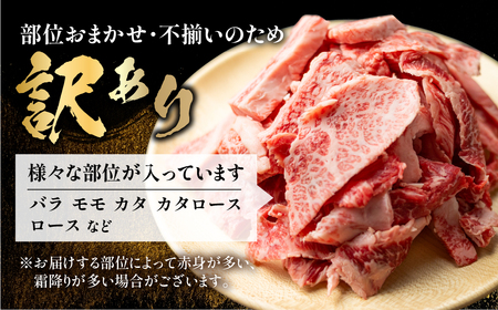 飛騨牛 焼肉 切り落とし 600g 訳あり 訳アリ 不揃い カルビ 牛肉 肉 バーベキュー BBQ 和牛 贈答 ギフト 焼き肉 切り落とし わけあり ふぞろい ワケアリ 15000円 おすすめ 岐阜県