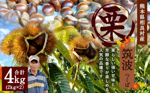  栗 筑波 4kg 【2025年9月下旬発送開始】 くり クリ 熊本県産