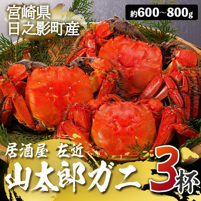 【ふるさと納税】＜期間限定＞山太郎ガニ(3杯・約600g-800g)海鮮 魚介類 蟹 カニ モクズガニ【SK001】【居酒屋 左近】