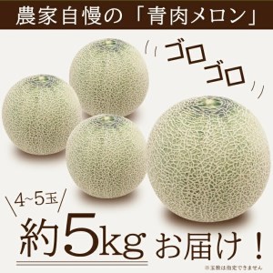 SA2871　庄内メロン/青肉　グレース　約5kg(4～5玉入)