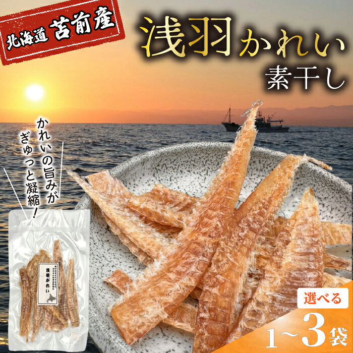 【ふるさと納税】浅羽かれい素干し 選べる容量 1袋 3袋 北海道苫前産 珍味 海鮮 乾物 おつまみ 肴 アテ カレイ 鰈 北海道 苫前町 とままえ