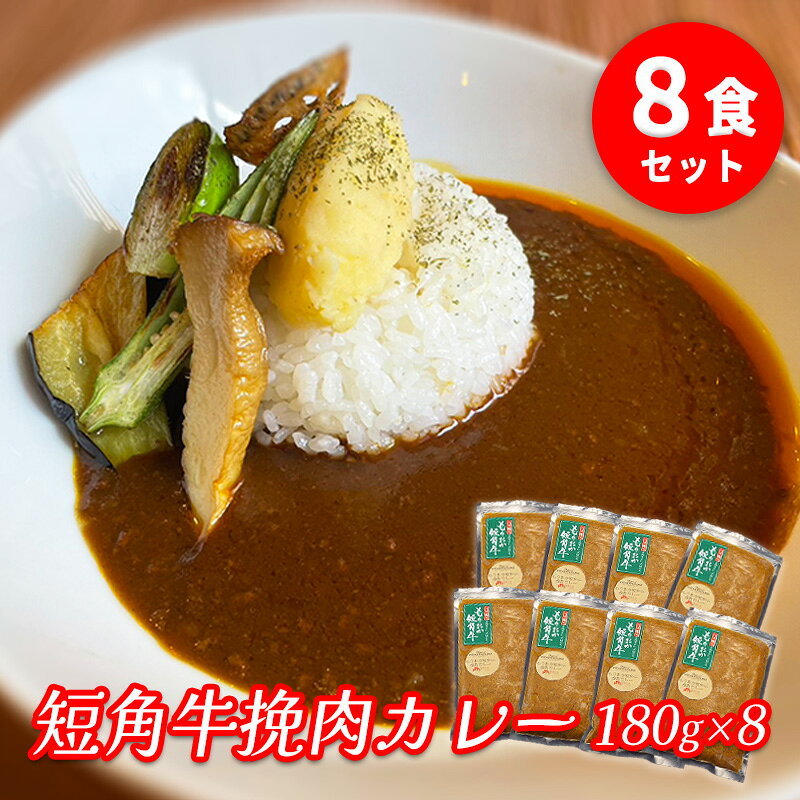 【ふるさと納税】肉専門レストラン「パイオニアファーム」　短角牛挽肉カレー8食セット【楽天】