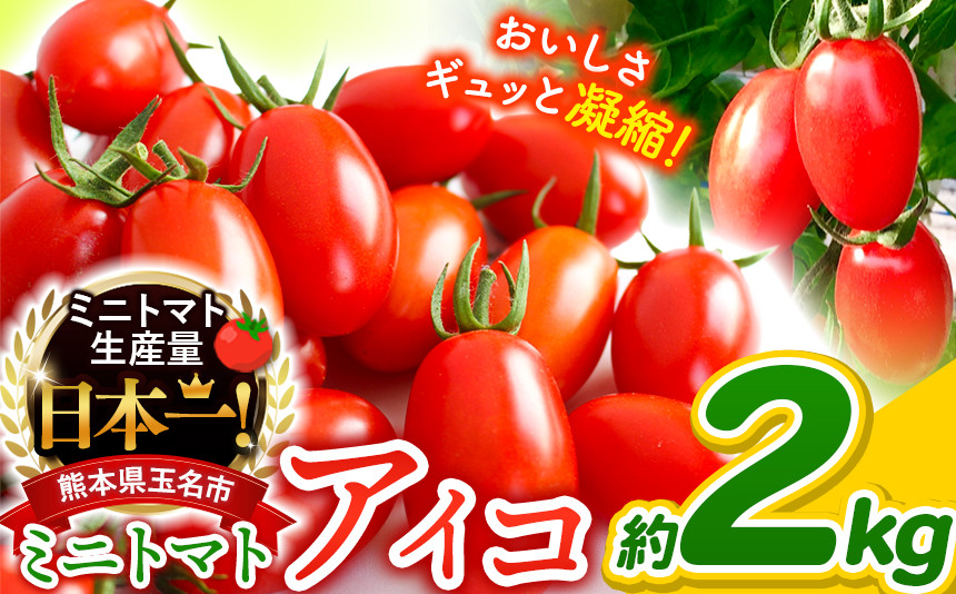 
                  ミニトマト アイコ 約 2kg ｜ 野菜 トマト 熊本 サザキ農園 ミニトマト 生産量 日本一 玉名市 !! くまもと たまな
                