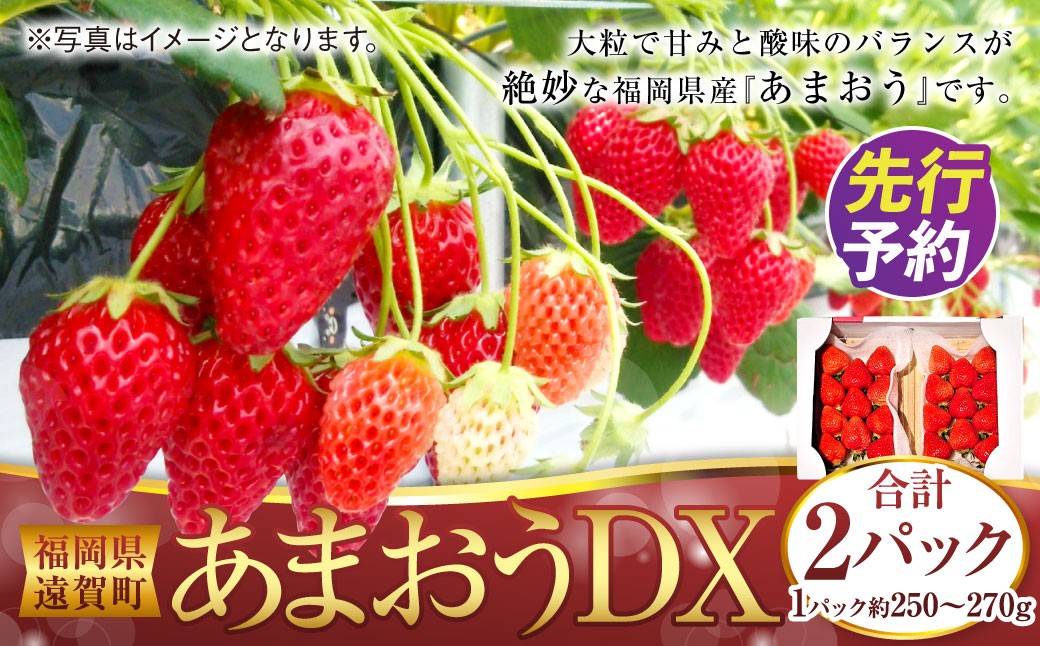 
                  あまおうDX 約250～270g×2パック あまおう いちご イチゴ 苺 果物 くだもの フルーツ 【2027年2月上旬～4月下旬発送予定】
                