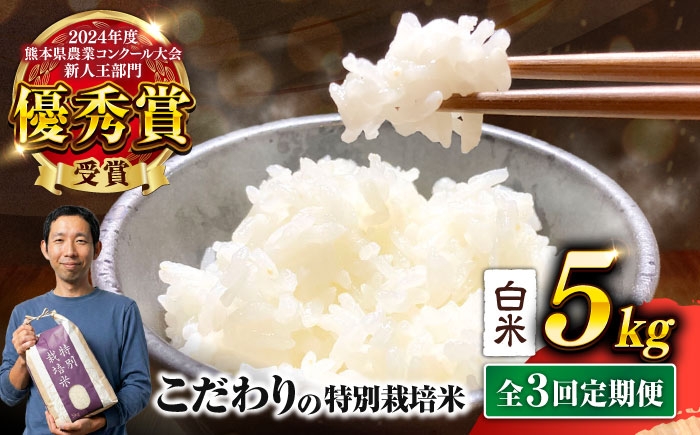 
                   【令和7年度】 【全3回定期便】 くまさんの輝き 白米 5kg 計15kg 米 お米 白米 精米 ライス こめ お米 5キロ 精米 ブランド 5ｷﾛ コメ くまさんの輝き 熊本県産 合志市 産地直送 送料無料【坂本農園】 [AYCC027]
                