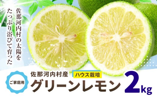 訳あり グリーンレモン 山本農園 《6月上旬-8月中旬頃出荷》 2kg レモン フルーツ 佐那河内 さなごうち ジューシー 柑橘 ご家庭用 サラダ お酒 ジュース