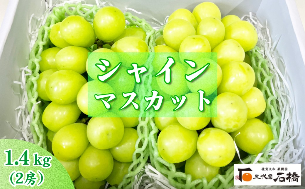 
                  石橋果樹園 シャインマスカット 1.4kg
                