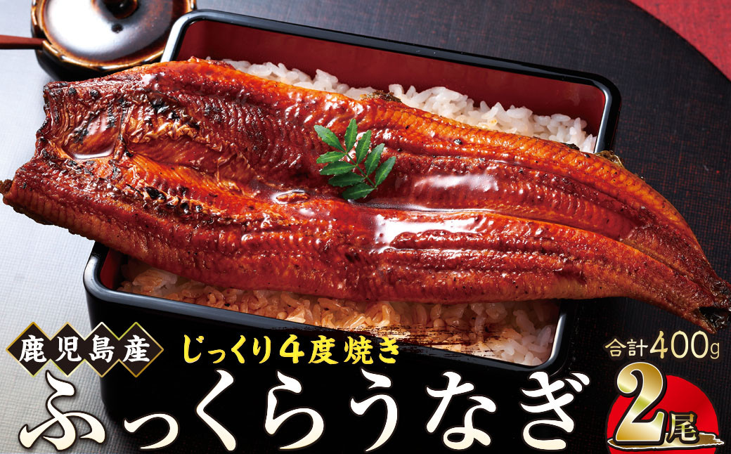 うなぎ 蒲焼 200g×2尾【鹿児島産】地下水で育てた絶品鰻 464686_AQ108