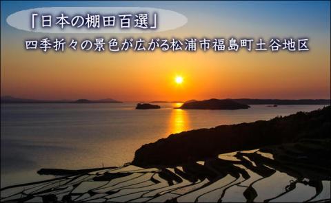 日本の棚田百選 土谷棚田米 10kg( 米 お米 ごはん コシヒカリ 棚田 土谷棚田 )【B4-031】