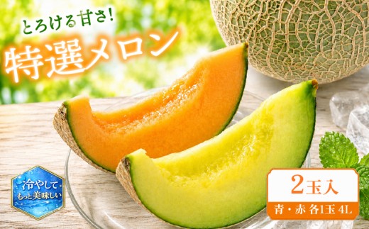 特選 メロン 青肉 赤肉 計 2玉 4L 数量限定 果実 新鮮 くだもの めろん 品種おまかせ ミラノ春Ⅱ 青肉メロン 赤肉メロン ホノカ レノン 品種 おまかせ フルーツ 果物 期間限定 フルーツ 季節限定 果物 産地直送 旬 果物 滋賀県 竜王町 ギフト 贈り物 プレゼント 送料無料 竜王 令和8年 甘い あまい おいしい メロン めろん 2026年