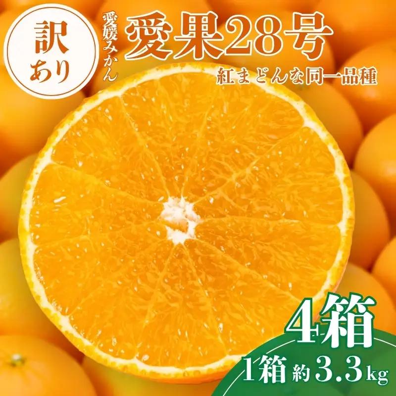 【2026年先行予約】 愛果28号 約3.3kg×4箱 ご家庭用 みかん 紅まどんなと同品種 柑橘 愛媛 【2026年11月下旬から順次発送予定】 数量限定 人気 伊予市｜E19