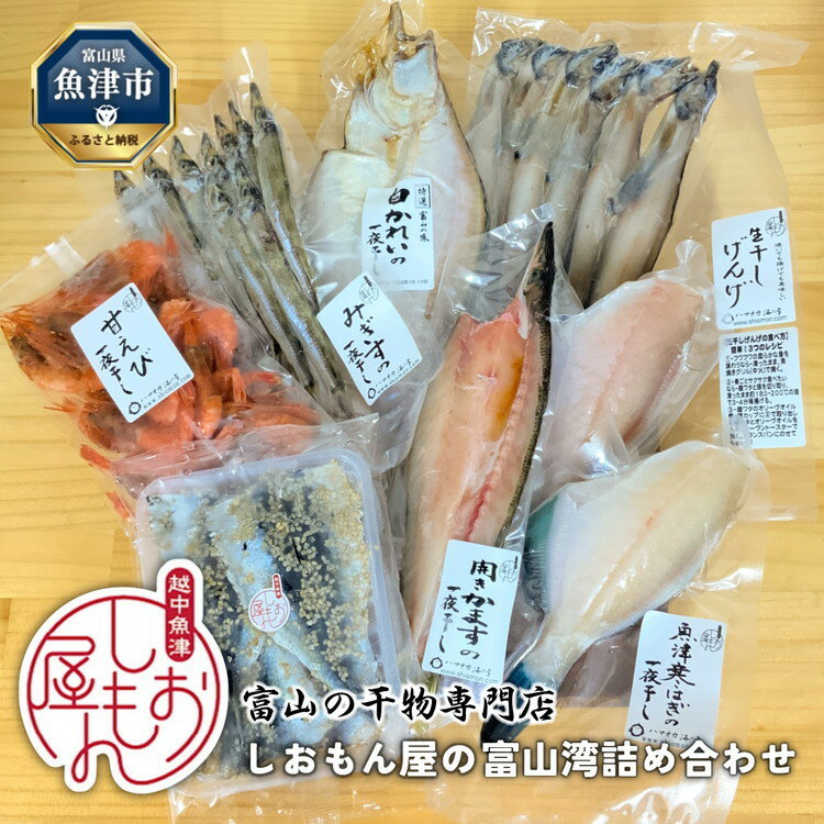 【ふるさと納税】富山の干物専門店　しおもん屋の富山湾詰め合わせ ハマオカ海の幸　【魚貝類・干物・アジ・イカ・イワシ・海老・エビ】