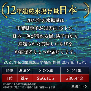 ＼ スピード発送 ／ 訳あり トロ 塩さば 2kg サバ