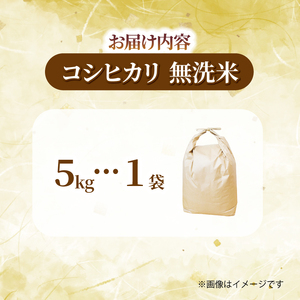 【先行予約】 【 定期便 3回】 コシヒカリ 無洗米 5kg ×3回 計15kg 令和8年産