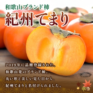 柿 紀州てまり（和歌山県ブランド柿）6～7個入 こだわり農家厳選【2026年10月初旬頃～11月中旬頃に順次発送予定】 / 柿 フルーツ 果物 かき 和歌山 かつらぎ 農家直送 贈答 【KG27】【B