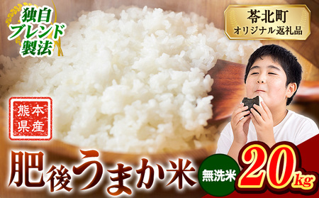 肥後うまか米 熊本県産ブレンド米約20kg(無洗米) 熊本県産 ふるさと納税 無洗米 精米 米 こめ コメ お米 おこめ《9月下旬-11月上旬頃出荷》