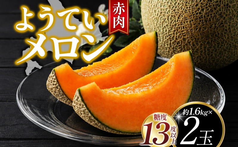 北海道 赤肉メロン 約1.6kg 2玉 メロン 赤肉 果物 フルーツ 甘い 完熟 スイーツ デザート 産直 国産 贈答品 お祝い ギフト羊蹄山 JAようてい