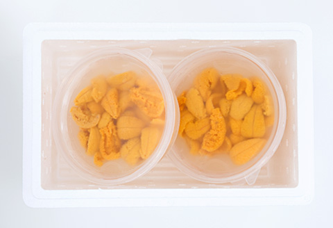 ムラサキウニ塩水パック110～120g×2P B-24008