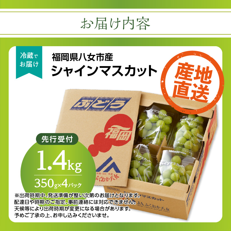 【先行予約】シャインマスカット 1.4kg（350g×4パック）【ＪＡふくおか八女】｜９月上旬～発送予定 マスカット ぶどう 種なし 皮ごと食べられる 糖度18度 高糖度 甘い 厳選 産地直送 1.4