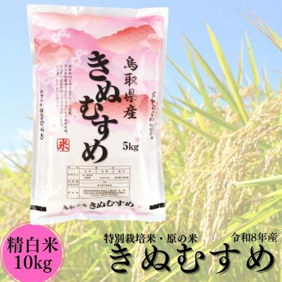 ふるさと納税 湯梨浜町 特別栽培米『原の米・きぬむすめ』◇精白米10kg◇令和8年産(49MZ.)