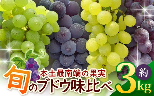 【期間限定・数量限定】今が旬！ブドウ味くらべ約3kg 4種以上 (6～7房) TE710｜産地直送 旬 ブドウ 葡萄 ぶどう フルーツ 果物 くだもの 果実 食べ比べ 鹿児島県 南大隅町 有限会社ティエラ　