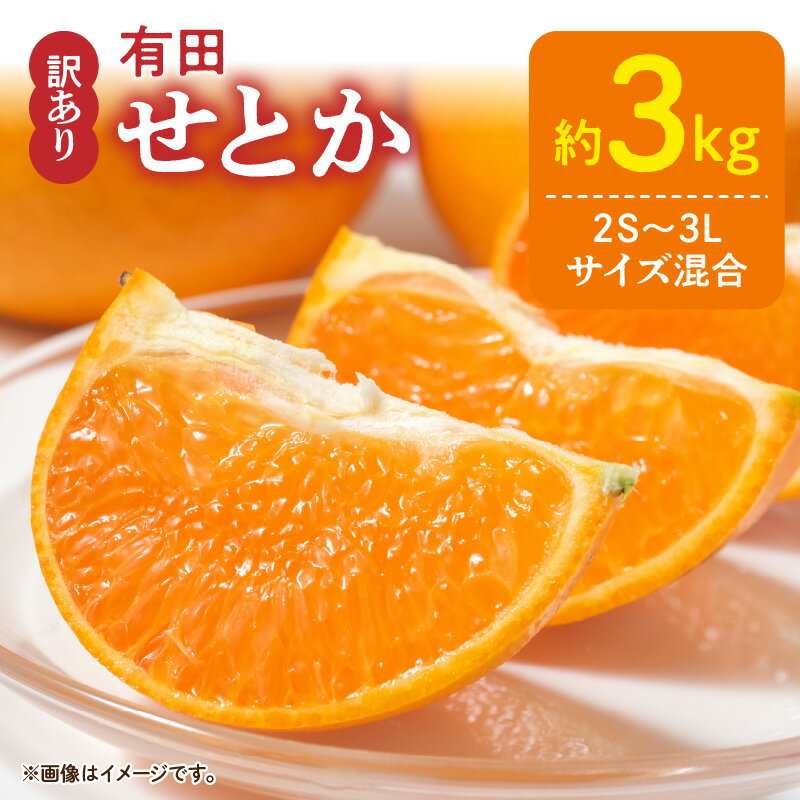 【ふるさと納税】【限定】 【2026年先行予約】 訳あり せとか 約3kg 2S～3Lサイズ混合 ブランド 有田産 味 深み 濃厚 果汁 国産 果物 フルーツ 果実 食品 食べ物 おやつ デザート お取り寄せ お取り寄せフルーツ 和歌山県 湯浅町 送料無料