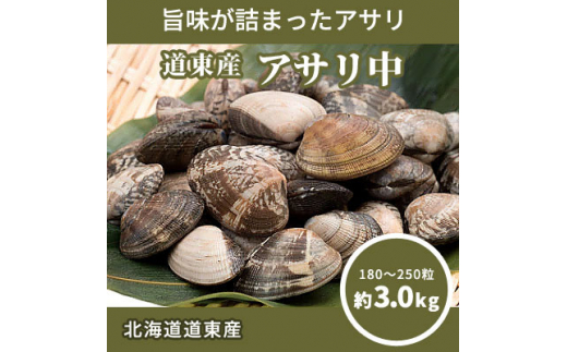 
北海道道東産アサリ中(冷凍)　約3kg(180～250粒)【1233944】
