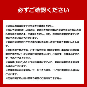 【2026年先行予約】とうもろこしコラボセット!　ピュアホワイト5本×ゴールドラッシュ5本（2026年8月下旬から発送開始予定）とうもろこし _03648