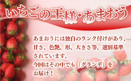 福岡県産 あまおう 1080g 送料無料 いちご 果物 フルーツ ギフト 季節限定 スイーツ ケーキ ブランド 先行予約 2024年12月より順次発送  TY050-2