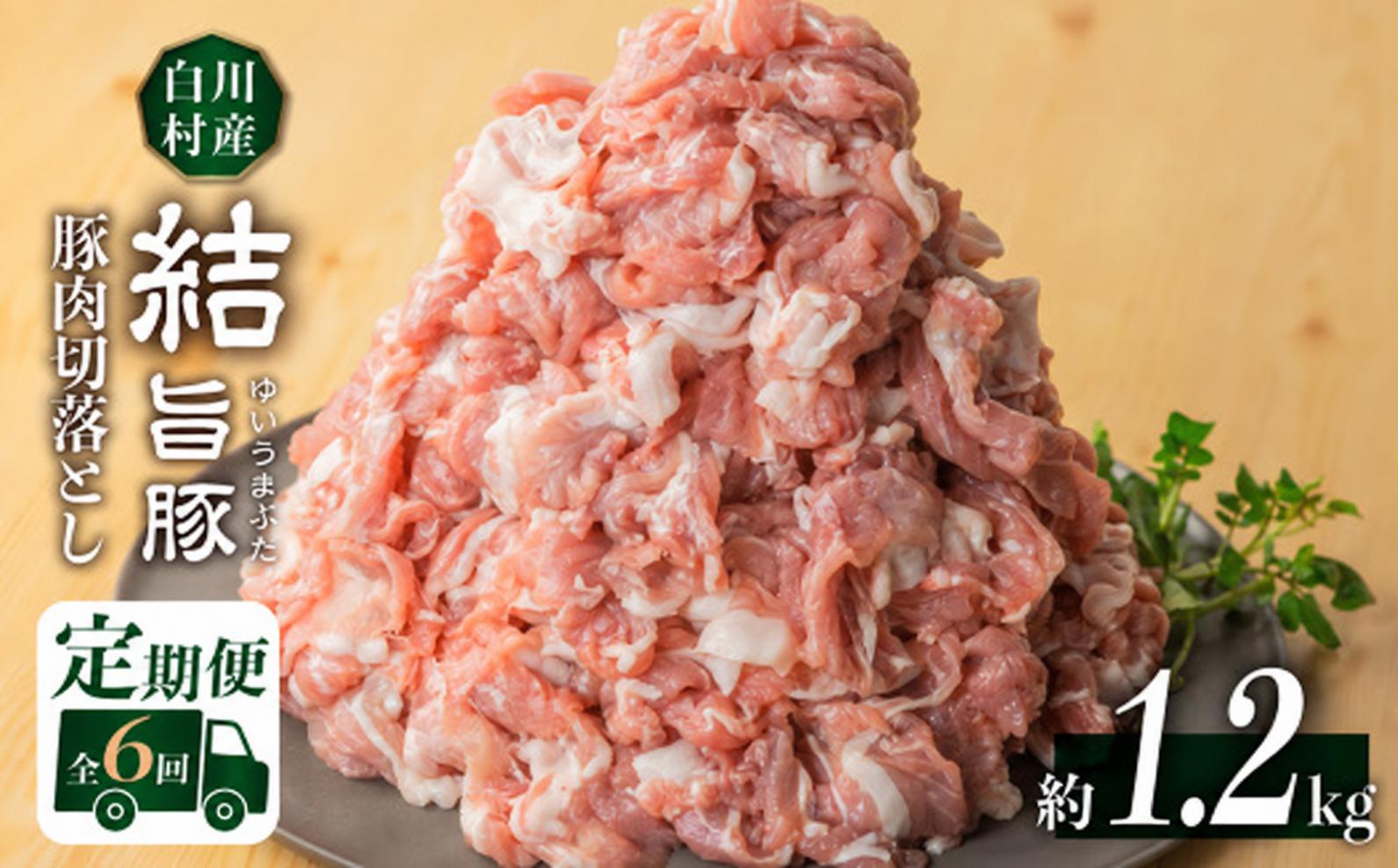 
                  定期便 全6回 訳あり 結旨豚 もも ウデ バラ 切り落とし ミックス 300g×4袋 計約1.2kg 毎月1回 真空パック 小分け 冷凍 ｜ 豚肉 切り落とし 豚肉 切り落とし 小分け 豚肉 小分け 豚肉 定期便 豚肉 真空パック 定期便 肉 訳あり 豚肉 切り落とし 結旨豚 ブランド豚 国産豚 切落し ブランド豚 結旨豚 世界遺産 白川郷 [S501]
                