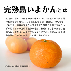 【2027年2月下旬頃から順次発送】 完熟島いよかん (秀品) 約5kg | いよかん 伊予柑 みかん 【KK3222】