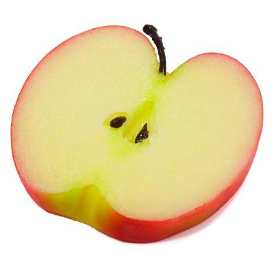 ふるさと納税 弥富市 フルーツコースター Sサイズ 4枚セット |  | 01