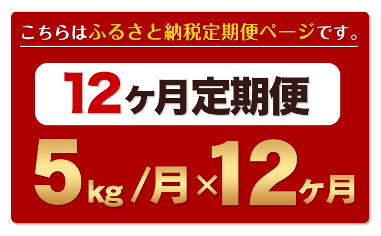 【12ヶ月定期便】無洗米 定期便《お申込み月の翌月から出荷開始》 熊本ふるさと無洗米 5kg 訳あり 米 コメ こめ 熊本県産 米 ふるさと納税 わけあり 以上のお米ならこれ お米 おこめ 熊本 SD