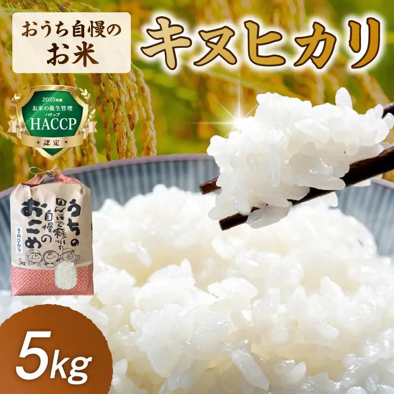 おうち自慢のお米 キヌヒカリ5kg【1298-2】